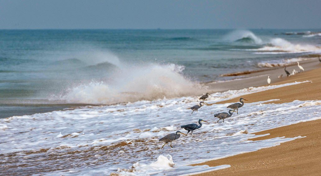 Madhavpur Beach, Porbandar, Gujarat - Vushii.com Madhavpur Beach, Porbandar, Gujarat - Vushii.com
